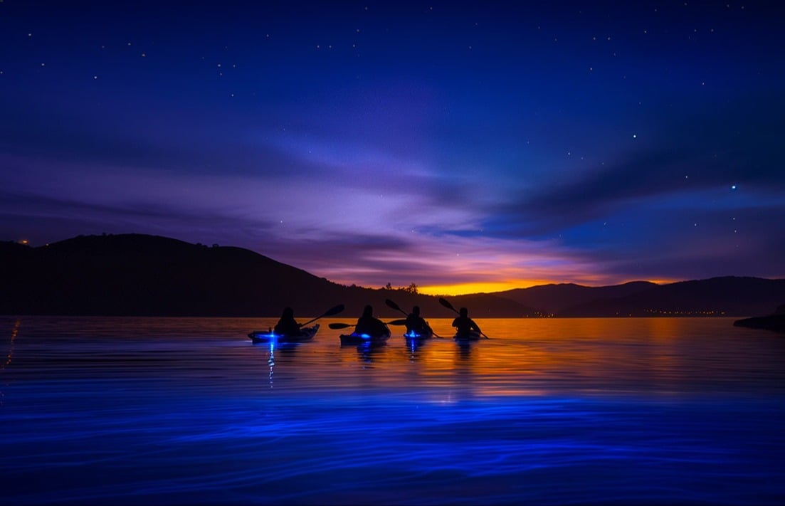 Bioluminescence Kayak Tour in Tomales Bay Napa Valley Paddle